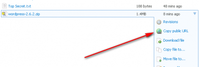 How to share the file