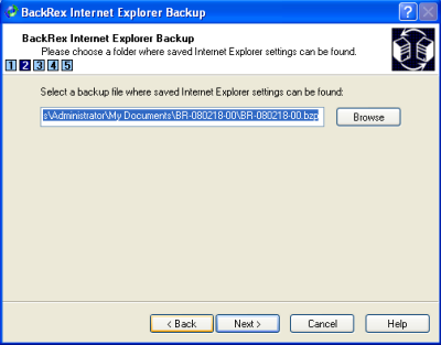 BackRex Internet Explorer Backup