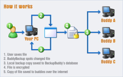 BuddyBackup